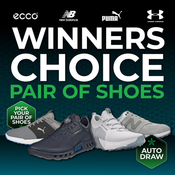 AUTO-DRAW: WIN A PAIR OF WINNER'S CHOICE SHOES #1