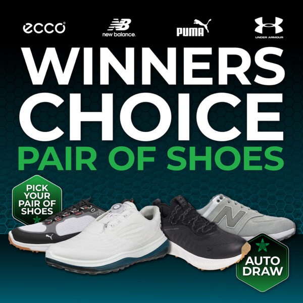 AUTO-DRAW: WIN A PAIR OF WINNER'S CHOICE SHOES #7