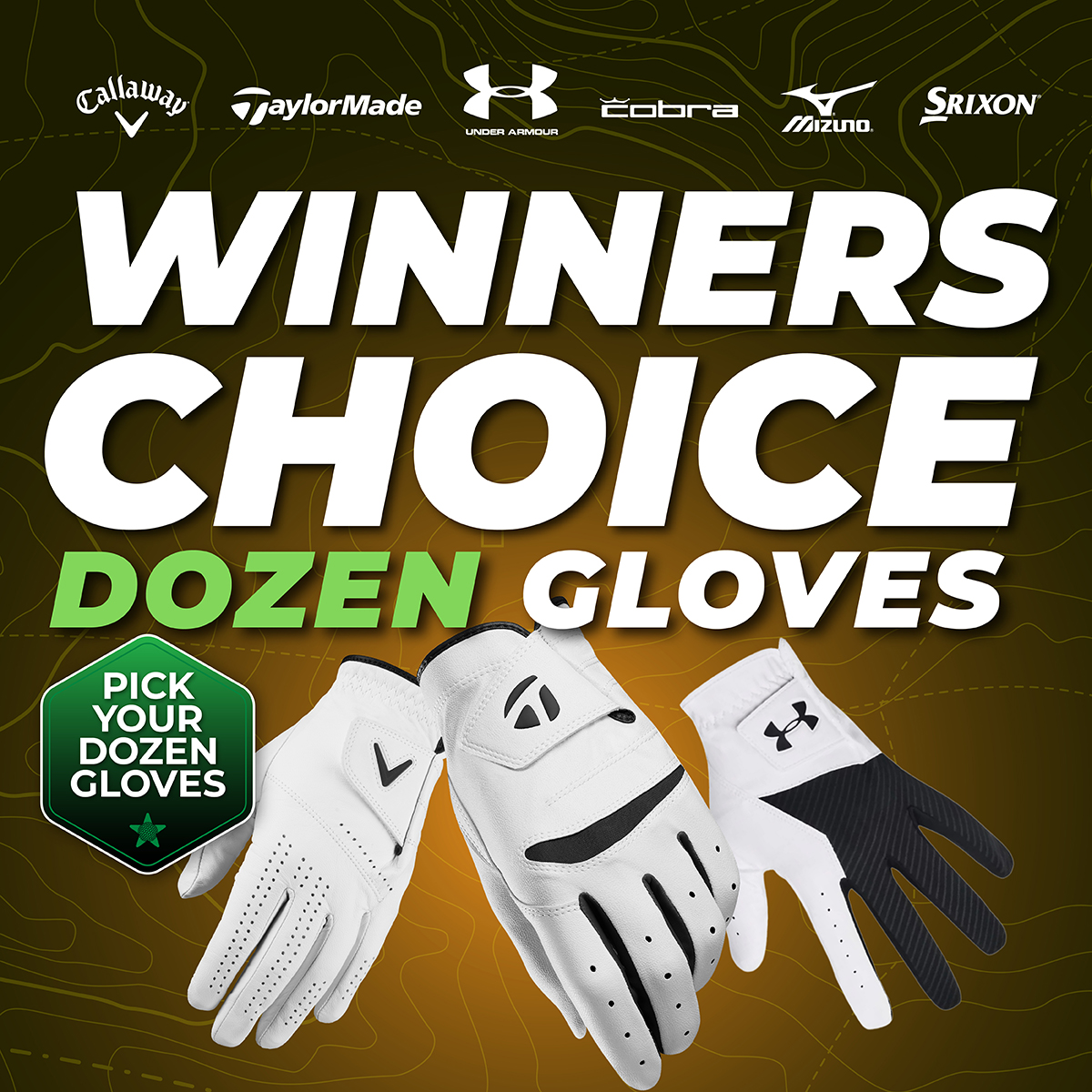 WIN 12 WINNER’S CHOICE GLOVES #2